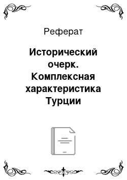 Реферат: Исторический очерк. Комплексная характеристика Турции