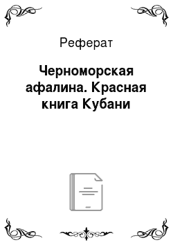 Реферат: Черноморская афалина. Красная книга Кубани
