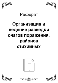 Реферат: Организация и ведение разведки очагов поражения, районов стихийных бедствий, аварий и катастроф