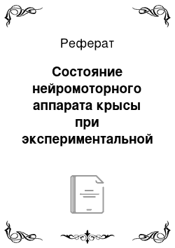 Реферат: Состояние нейромоторного аппарата крысы при экспериментальной травме позвоночника