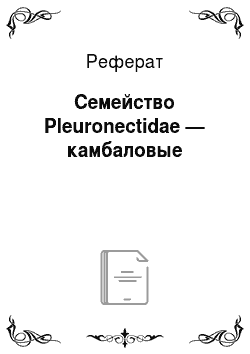 Реферат: Семейство Pleuronectidae — камбаловые