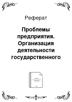 Реферат: Проблемы предприятия. Организация деятельности государственного унитарного предприятия "Аэропорт Благовещенск"