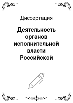 Диссертация: Деятельность органов исполнительной власти Российской Федерации по реализации государственной политики информатизации