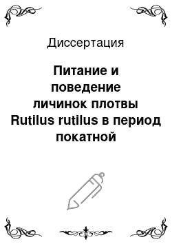 Диссертация: Питание и поведение личинок плотвы Rutilus rutilus в период покатной миграции