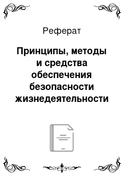 Реферат: Принципы, методы и средства обеспечения безопасности жизнедеятельности