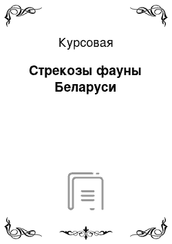 Курсовая: Стрекозы фауны Беларуси