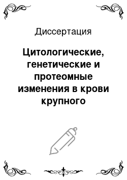 Диссертация: Цитологические, генетические и протеомные изменения в крови крупного рогатого скота, инфицированного вирусом лейкоза