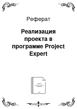 Реферат: Реализация проекта в программе Project Expert