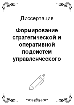 Диссертация: Формирование стратегической и оперативной подсистем управленческого учета на промышленном предприятии