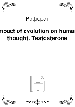 Реферат: Impact of evolution on human thought. Testosterone