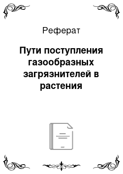 Реферат: Пути поступления газообразных загрязнителей в растения