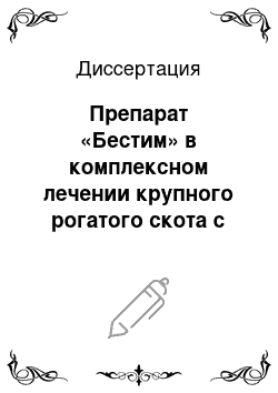 Диссертация: Препарат «Бестим» в комплексном лечении крупного рогатого скота с поражением копытец язвой Рустергольца