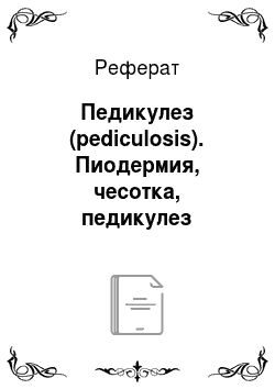 Реферат: Педикулез (pediculosis). Пиодермия, чесотка, педикулез