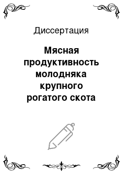 Диссертация: Мясная продуктивность молодняка крупного рогатого скота основных пород Челябинской области и их помесей