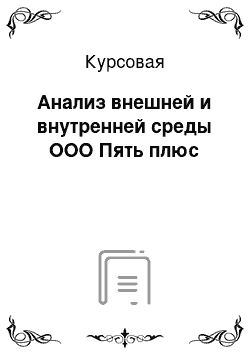 Курсовая: Анализ внешней и внутренней среды ООО Пять плюс