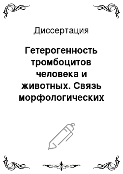 Диссертация: Гетерогенность тромбоцитов человека и животных. Связь морфологических особенностей с функциональным состоянием