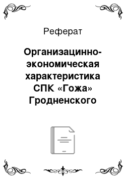 Реферат: Организацинно-экономическая характеристика СПК «Гожа» Гродненского района