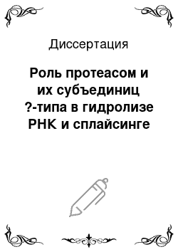 Диссертация: Роль протеасом и их субъединиц ?-типа в гидролизе РНК и сплайсинге