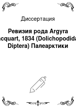 Диссертация: Ревизия рода Argyra Macquart, 1834 (Dolichopodidae, Diptera) Палеарктики