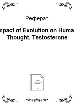 Реферат: Impact of Evolution on Human Thought. Testosterone