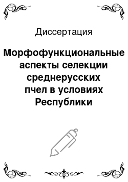 Диссертация: Морфофункциональные аспекты селекции среднерусских пчел в условиях Республики Башкортостан