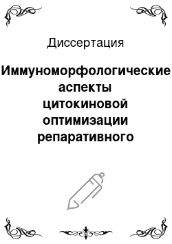 Диссертация: Иммуноморфологические аспекты цитокиновой оптимизации репаративного остеогенеза у собак в условиях внешней стержневой фиксации