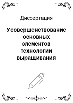 Диссертация: Усовершенствование основных элементов технологии выращивания посадочного материала и плодоносящей земляники в лесостепи Алтайского края