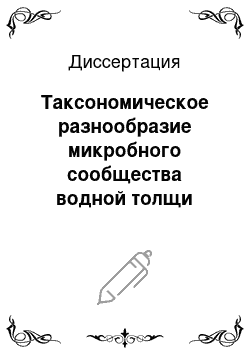 Диссертация: Таксономическое разнообразие микробного сообщества водной толщи озера Байкал