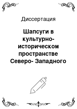 Диссертация: Шапсуги в культурно-историческом пространстве Северо-Западного Кавказа