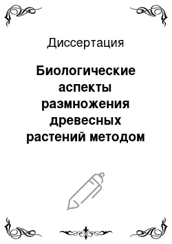 Диссертация: Биологические аспекты размножения древесных растений методом зеленого черенкования в Приморье