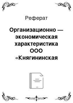 Реферат: Организационно — экономическая характеристика ООО «Княгининская мясоперерабатывающая компания»