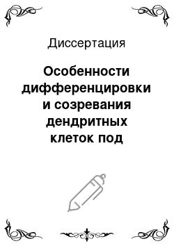 Диссертация: Особенности дифференцировки и созревания дендритных клеток под воздействием факторов различной природы