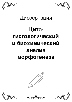 Диссертация: Цито-гистологический и биохимический анализ морфогенеза пыльника Triticum Aestivum L