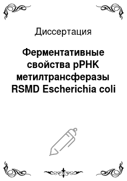 Диссертация: Ферментативные свойства pPHK метилтрансферазы RSMD Escherichia coli