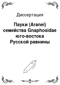 Диссертация: Пауки (Aranei) семейства Gnaphosidae юго-востока Русской равнины