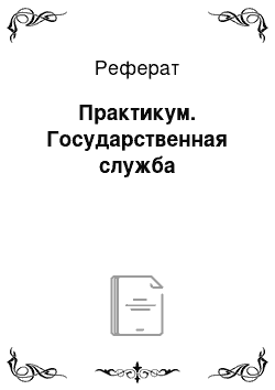 Реферат: Практикум. Государственная служба