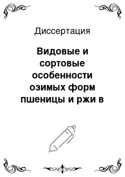 Диссертация: Видовые и сортовые особенности озимых форм пшеницы и ржи в различных экологических условиях