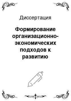 Диссертация: Формирование организационно-экономических подходов к развитию туристского рынка