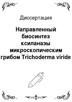 Диссертация: Направленный биосинтез ксиланазы микроскопическим грибом Trichoderma viride 44-11-62/3 и разработка технологии получения ферментного препарата