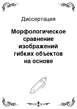 Диссертация: Морфологическое сравнение изображений гибких объектов на основе циркулярных моделей при биометрической идентификации личности по форме ладони