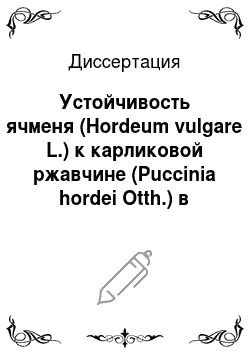 Диссертация: Устойчивость ячменя (Hordeum vulgare L.) к карликовой ржавчине (Puccinia hordei Otth.) в условиях Северного Кавказа