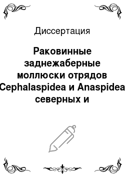 Диссертация: Раковинные заднежаберные моллюски отрядов Cephalaspidea и Anaspidea северных и дальневосточных морей России