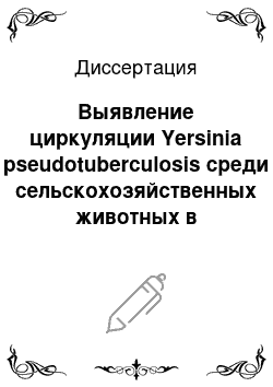 Диссертация: Выявление циркуляции Yersinia pseudotuberculosis среди сельскохозяйственных животных в Саратовской области и создание диагностических препаратов на основе мембранных белков