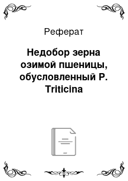 Реферат: Недобор зерна озимой пшеницы, обусловленный P. Triticina