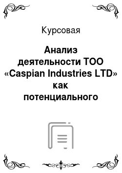 Курсовая: Анализ деятельности ТОО «Caspian Industries LTD» как потенциального инвестора