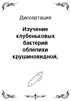 Диссертация: Изучение клубеньковых бактерий облепихи крушиновидной, произрастающей в Зарафшанском заповеднике