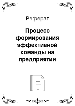 Реферат: Процесс формирования эффективной команды на предприятии