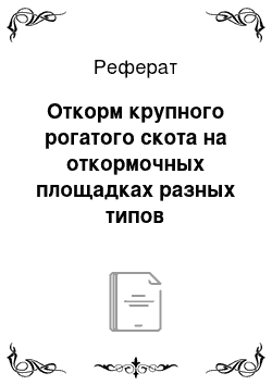 Реферат: Откорм крупного рогатого скота на откормочных площадках разных типов