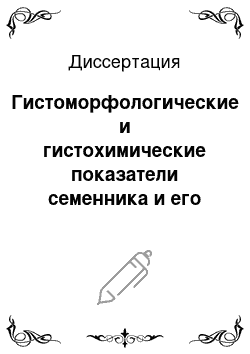 Диссертация: Гистоморфологические и гистохимические показатели семенника и его придатка монгольских верблюдов-бактрианов в постнатальном онтогенезе