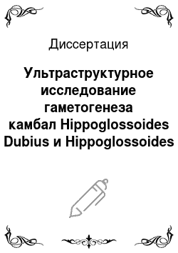Диссертация: Ультраструктурное исследование гаметогенеза камбал Hippoglossoides Dubius и Hippoglossoides (Cleisthenes) Herzensteini в связи с проблемой их систематического положения